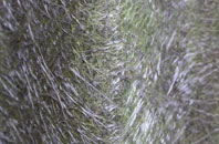 Longcliffe fibreglass roof work